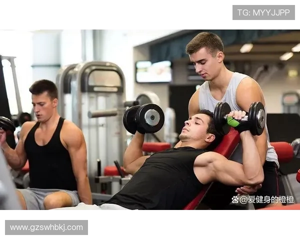 打造健康体魄从健身开始 适合各类人群的科学健身计划与建议 打造健康体魄从健身开始 适合各类人群的科学健身计划与建议